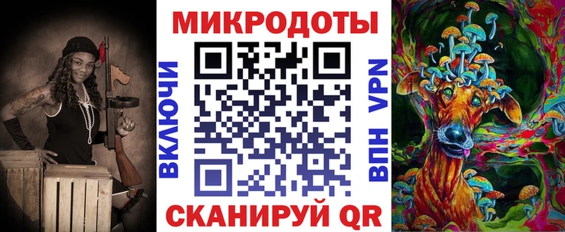 Псилоцибиновые грибы Psilocybe  Михайловск 